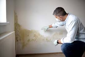 Best Forensic Mold Investigation  in Antelope, CA